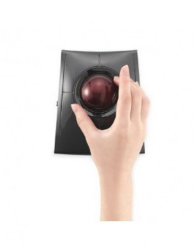 Kensington SlimBlade - Rato - laser -... Kensington SlimBlade - Rato - laser -...