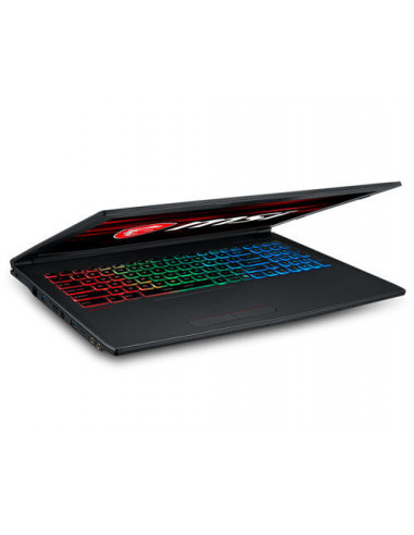 Msi Computer Gf62 8Re-063X Ci7-8750H ·