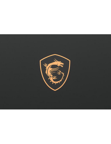 MSI GS75 Stealth 9SG-267E I7-9 16G*2...