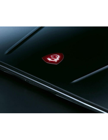 Msi Gp75 Leopard 9Sd-451Xes I7-9 16G...