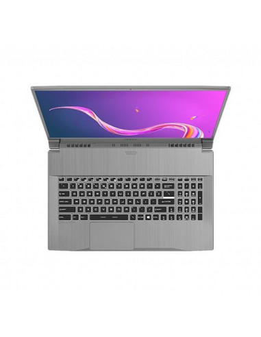Portátil Creator 17M A9SD-043ES MSI