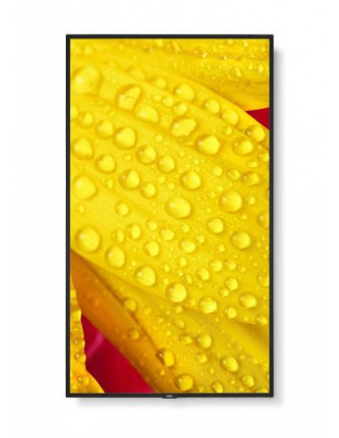 Televisor NEC MultiSync M551-2 50" 4K... Televisor NEC MultiSync M551-2 50" 4K...