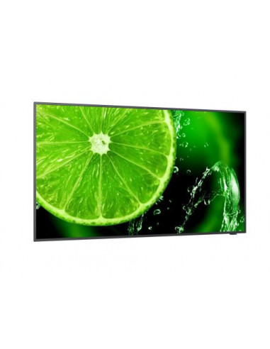 Ecrã NEC MultiSync E328-2, Série E,...