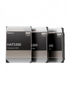 Synology HAT5300 - Disco...