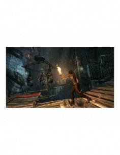 Tomb Raider - 774806