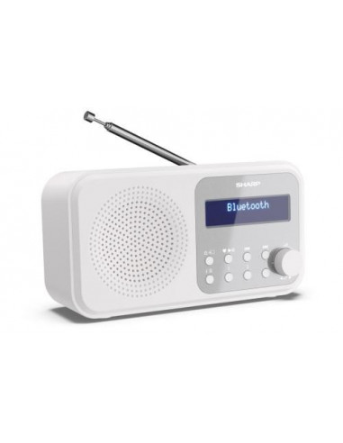 Rádio Digital Portátil Sharp DR-P420,...