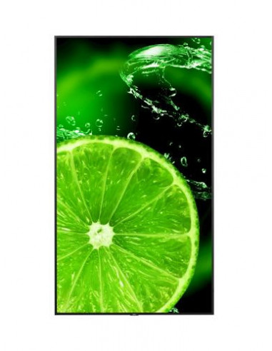 Ecrã NEC MultiSync E988, Série E,... Ecrã NEC MultiSync E988, Série E,...