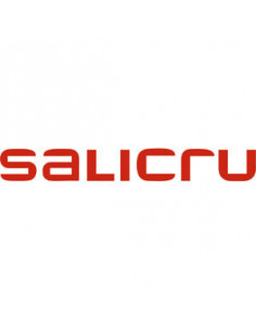 Salicru Slc-4000-twin Rt2...