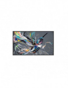 Monitor Philips 55BDL3511Q:...