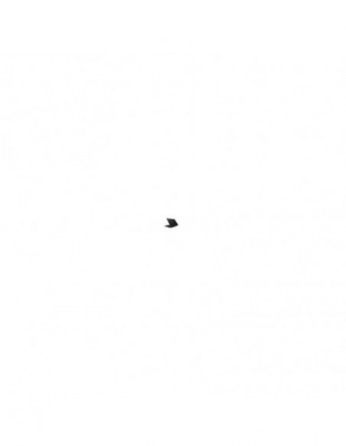 Portátil Lenovo Thinkpad L380... Portátil Lenovo Thinkpad L380...