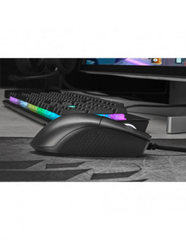 Rato Corsair Katar Pro XT,...