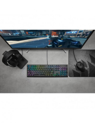 Rato Corsair Katar Pro XT,...