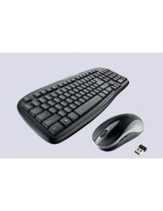 Conjunto Teclado e Rato Sem...