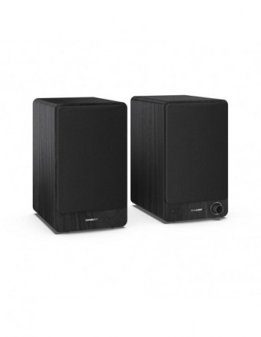 Colunas Sharp, Série CP-SS30BK, 2...