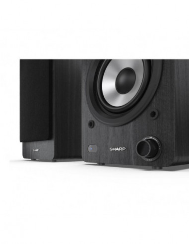 Colunas Sharp, Série CP-SS30BK, 2...