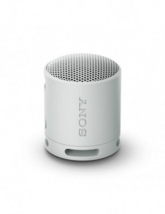 Altifalante Sony SRS-XB100:...