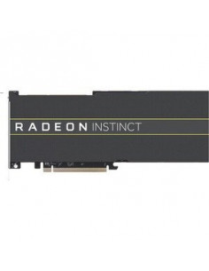 Amd Radeon Instinct Mi50...