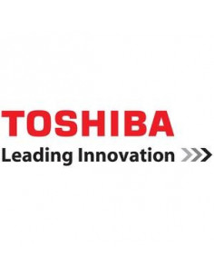 Toshiba Unidad De Estado...