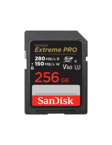 SanDisk SDSDXEP-256G-GN4IN memoria...