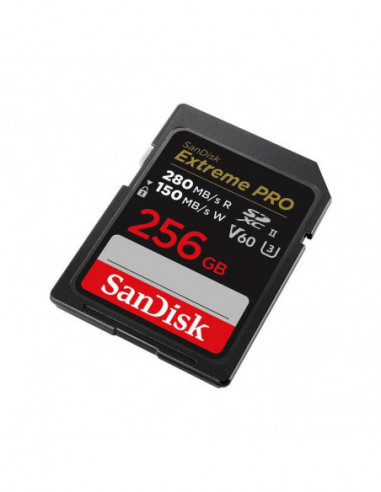 SanDisk SDSDXEP-256G-GN4IN memoria...