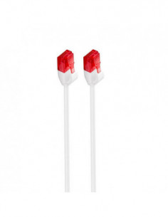 Ewent IM1035 Cable de RED...
