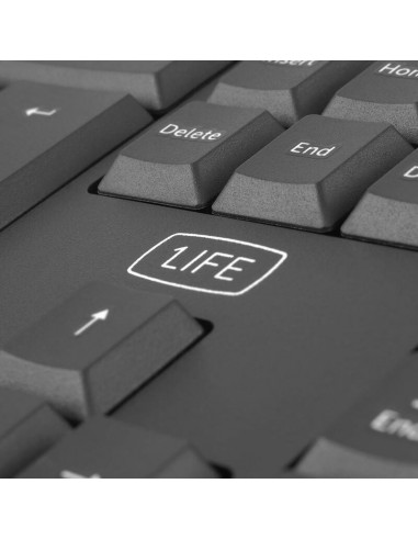 1Life kb:focus 1Life kb:focus