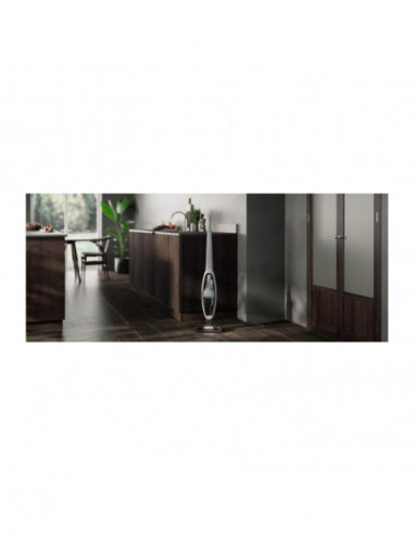 Aeg - Aspirador Vertical As52ab21ug Aeg - Aspirador Vertical As52ab21ug