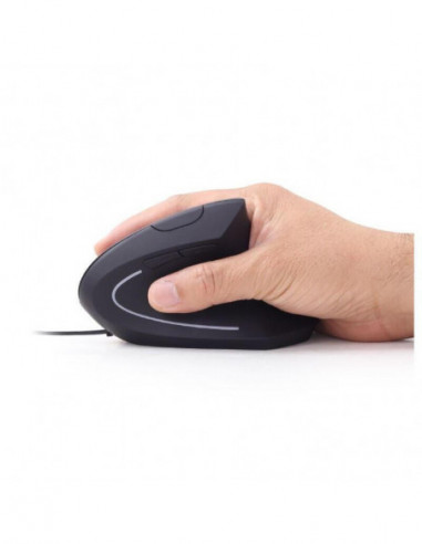 Gembird Raton Ergonomico 6 Botones...