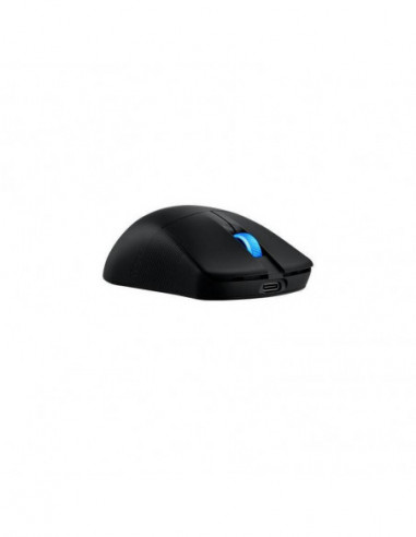 P716 ROG HARPE ACE MINI/BLK