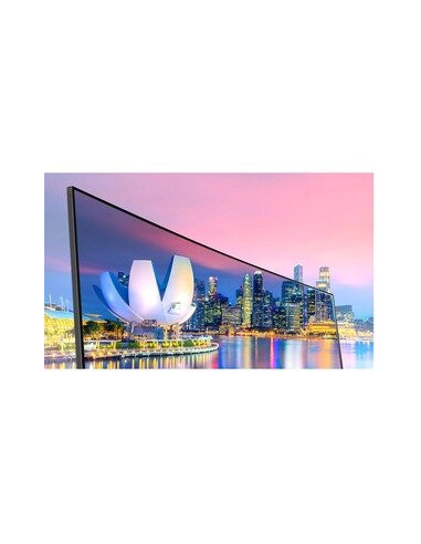 Monitor LG BN650 29"