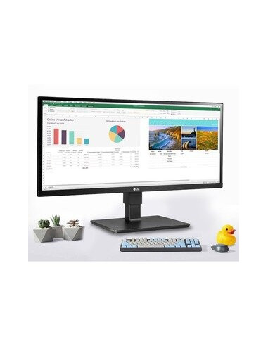 Monitor LG BN650 29"