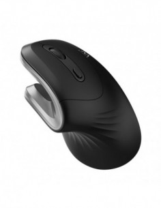 Rato Ewent Vertical...