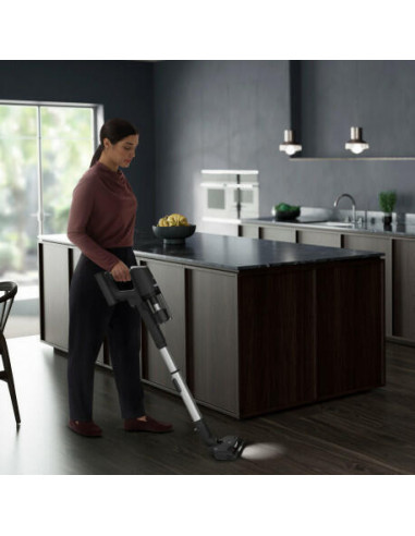 AEG - Aspirador Vertical AP81UB25GG AEG - Aspirador Vertical AP81UB25GG