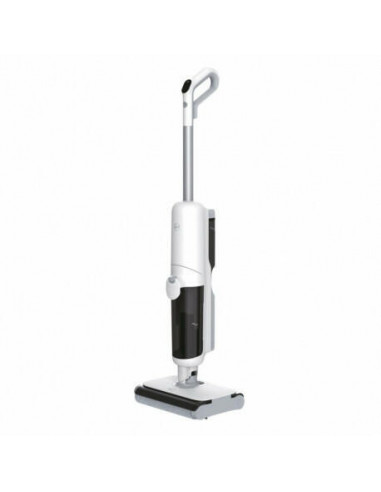 Hoover - Aspirador Vertical Wet & Dry...