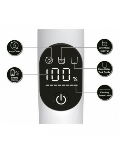 Hoover - Aspirador Vertical Wet & Dry...