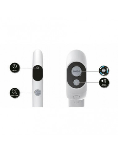 Hoover - Aspirador Vertical Wet & Dry...