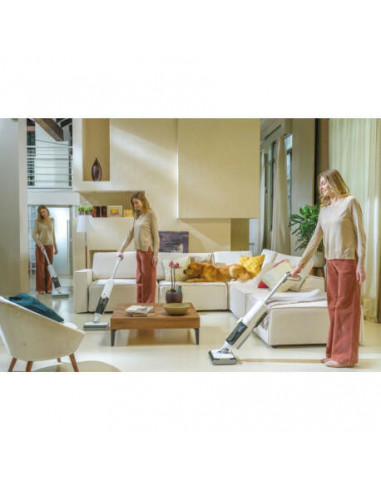 Hoover - Aspirador Vertical Wet & Dry...