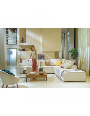 Hoover - Aspirador Vertical Wet & Dry...