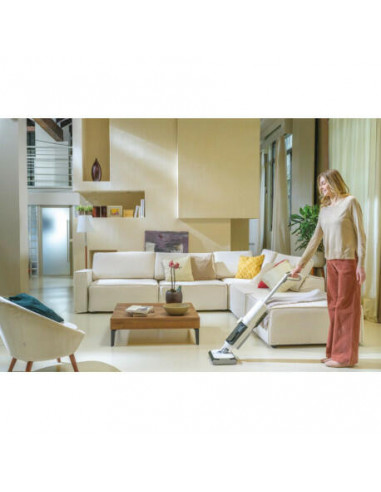 Hoover - Aspirador Vertical Wet & Dry...
