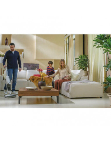 Hoover - Aspirador Vertical Wet & Dry...