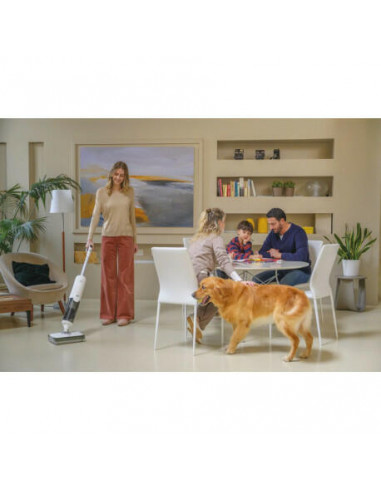 Hoover - Aspirador Vertical Wet & Dry...