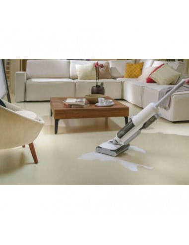 Hoover - Aspirador Vertical Wet & Dry...