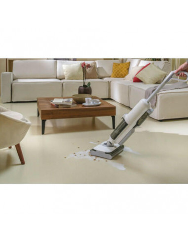 Hoover - Aspirador Vertical Wet & Dry...