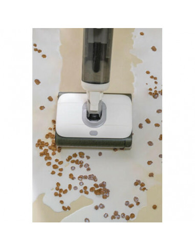 Hoover - Aspirador Vertical Wet & Dry...