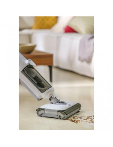 Hoover - Aspirador Vertical Wet & Dry...