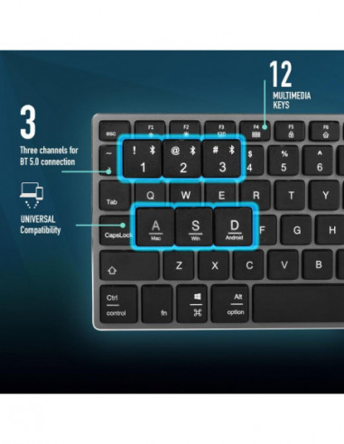 Ngs - Teclado Fortune-Btportuguese Ngs - Teclado Fortune-Btportuguese
