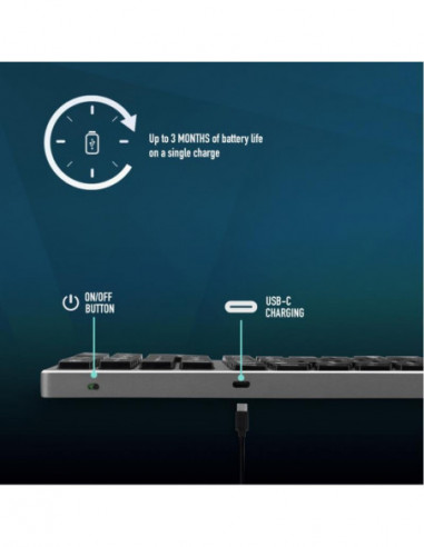 Ngs - Teclado Fortune-Btportuguese Ngs - Teclado Fortune-Btportuguese
