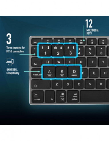 Ngs - Teclado Fortune-Btportuguese Ngs - Teclado Fortune-Btportuguese