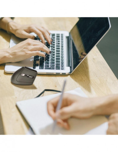 Ngs - Rato Wireless Ergonomic Evokarma