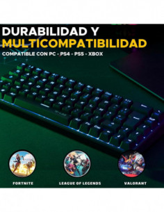 Teclado The G-lab Keyz...